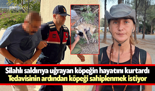 Silahlı saldırıya uğrayan köpeğin hayatını kurtardı! Tedavisinin ardından köpeği sahiplenmek istiyor