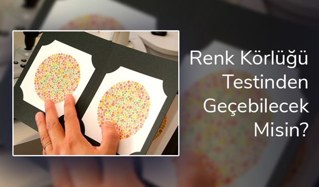 Renk Körlüğü Testinden Geçebilecek Misin? 12 Soruda Kaç Yapabilirsin?