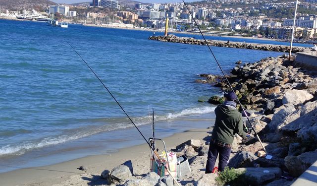 Yasak kalktı fiyatlar düşmedi! Kuşadası'nda zamlar halkı balıkçı yaptı