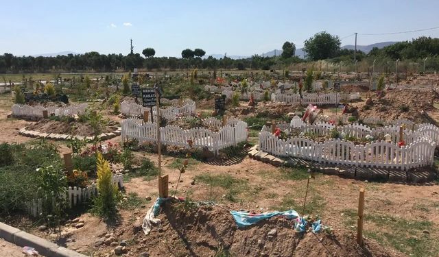 Aydın’da mezarlık yeri davalık olmuştu! Mahkeme son kararı verdi