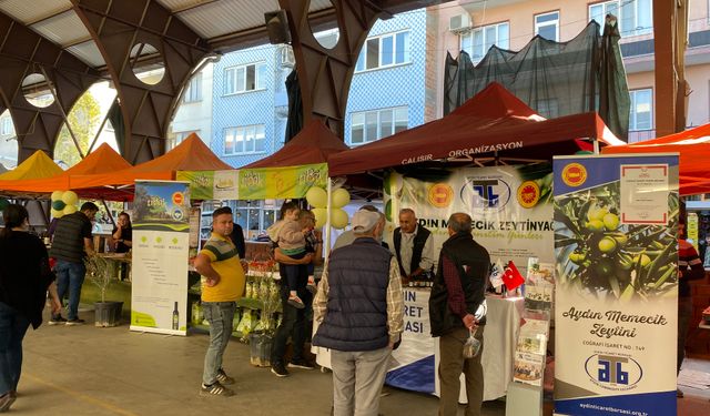 Çine’de zeytin ve doğa sporları festivali rüzgarı! İzmir’den Çine’ye kürek çekmeye geldiler