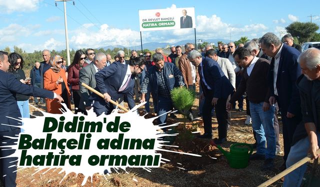 Didim'de Bahçeli adına hatıra ormanı