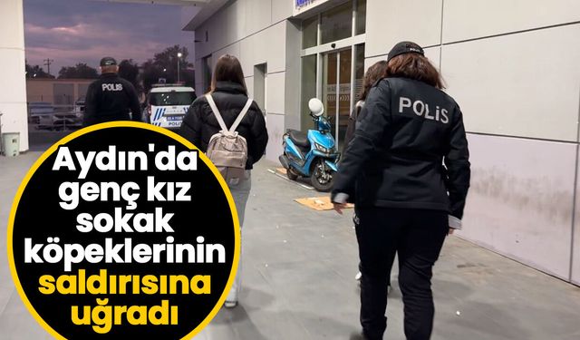 Aydın'da genç kız sokak köpeklerinin saldırısına uğradı