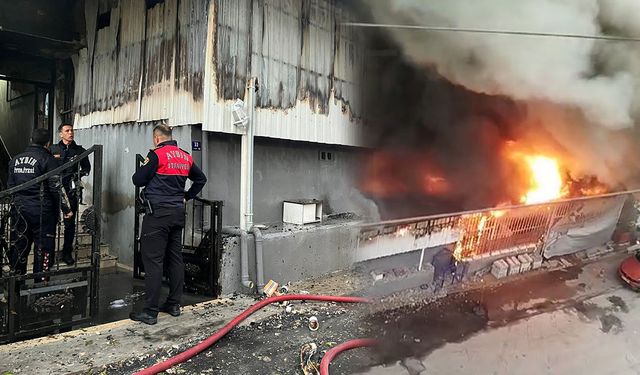 Nazilli’de hayvanların içerisinde bulunduğu dükkanda feci yangın!