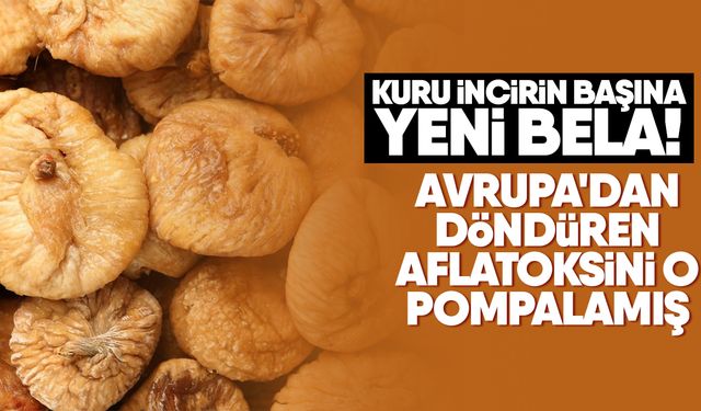 Kuru incirin başına yeni bela! Avrupa'dan döndüren aflatoksini o pompalamış