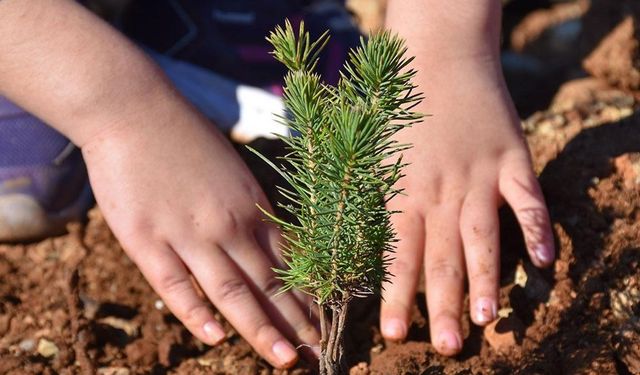 Aydın'daki yaylada duygu seli! Hayattan koparılanların yerine fidanlar dikildi