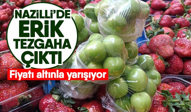 Nazilli’de erik tezgaha çıktı! Fiyatı altınla yarışıyor