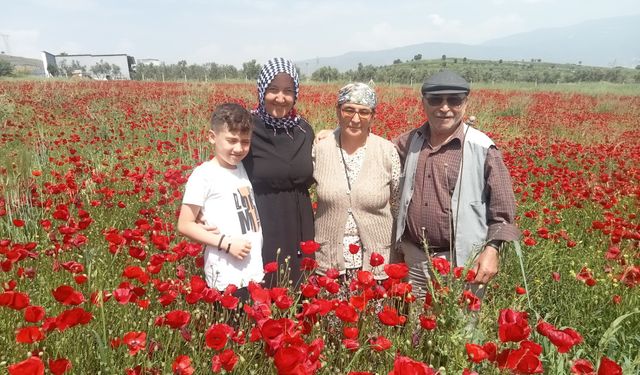 Karpuzlu’da yeni akım başladı! Oradan geçen fotoğraf çekmeden gitmiyor