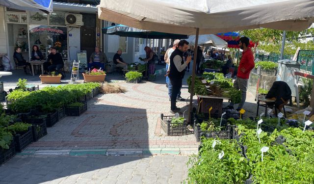 Koçarlı’yı fidanlar sardı