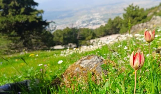 Vatandaşlara 10 gün uyarısı! Herkesin çok dikkatli olması istendi