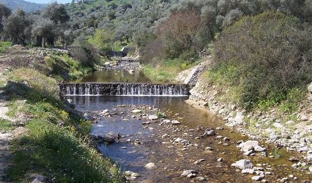 Yaşam