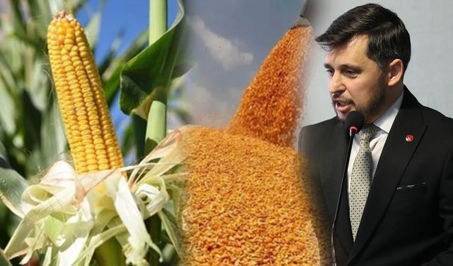 Bozdoğan'dan vergisiz mısır ithalatı kararına tepki!“Yerli üreticilerin alın terine darbedir”