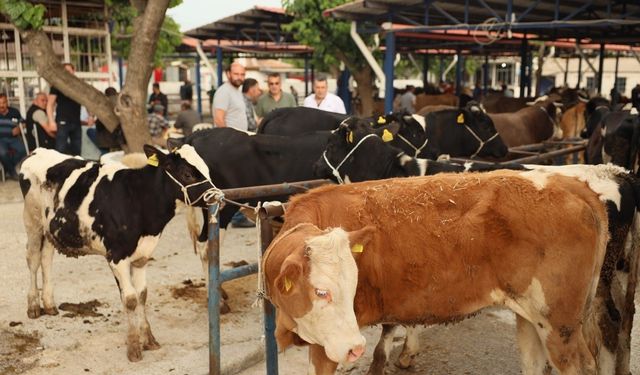 Didim’de kurban kesilebilecek yerler belli oldu