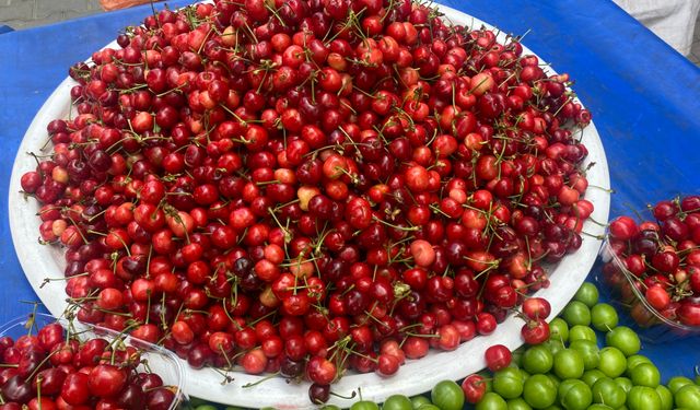 Koçarlı’da mevsimin ilk kirazı satışa başladı