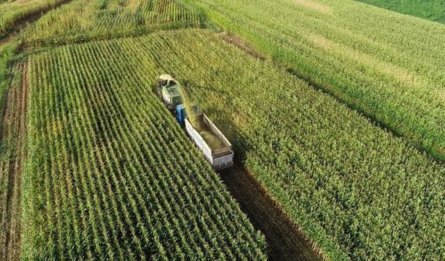 Aydınlı çiftçilere bakanlıktan müjde: 3 milyar 305 milyonluk destek…