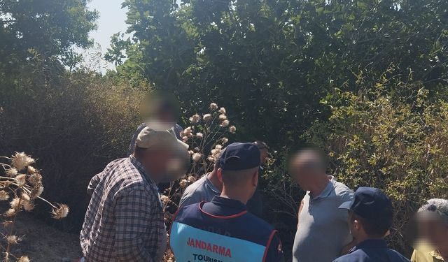 Sit alanından ilek çaldılar: Jandarmaya yakalandılar