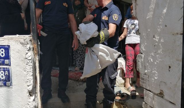 Aydın’da yılan operasyonu: Eve giren yılanı itfaiye çıkardı