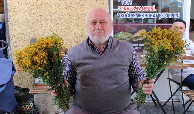Aydın’ın dağlarından gelip şifa dağıtıyor