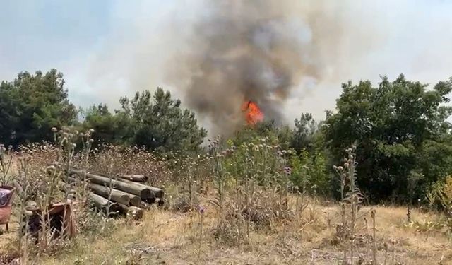 Ciğerlerimiz yanıyor! 3 köy boşaltıldı