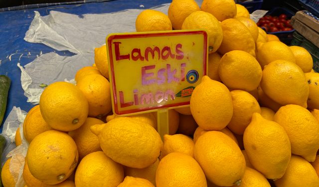 Aydın’da limon fiyatları cep yakıyor!