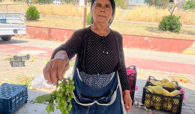 Aydın’da limonun yerini koruk aldı