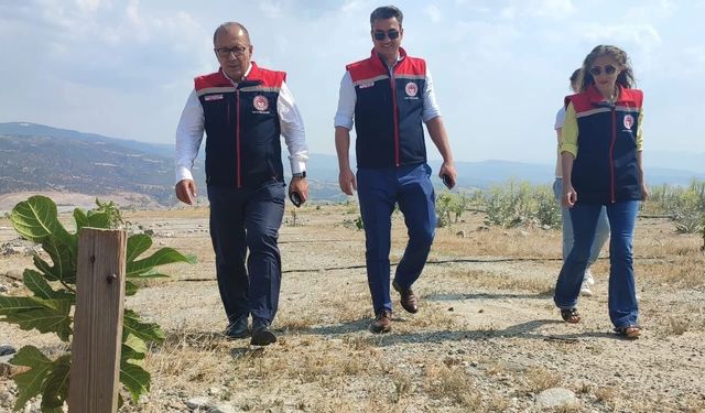 Aydın’ın ilk ilek bahçesi büyüyor! Müdür Altıntaş yerinde inceledi