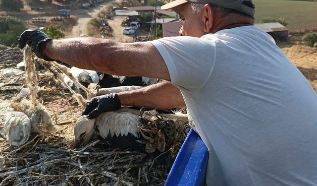 Aydınlı çevrecilerden uyarı! Doğaya atılan ipler leylekleri tehdit ediyor