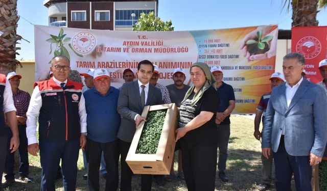 Buharkent’te üreticiye domates fidesi dağıtıldı