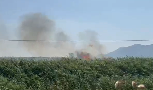 Söke’de peş peşe yangın