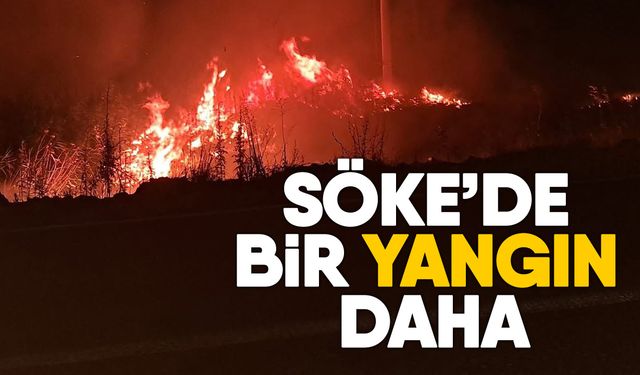 Söke’de bir yangın daha