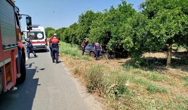 Aydın’da otomobil ağaca çarptı! Sürücü uyuya kaldı