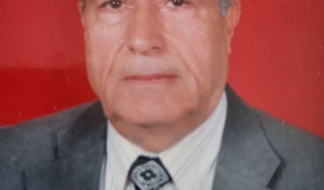 Cumhuriyetle yaşıt Çınar hayatını kaybetti