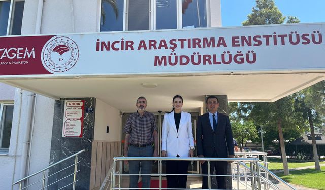 Sarıbaş, Germencik'te incir üreticileriyle buluştu