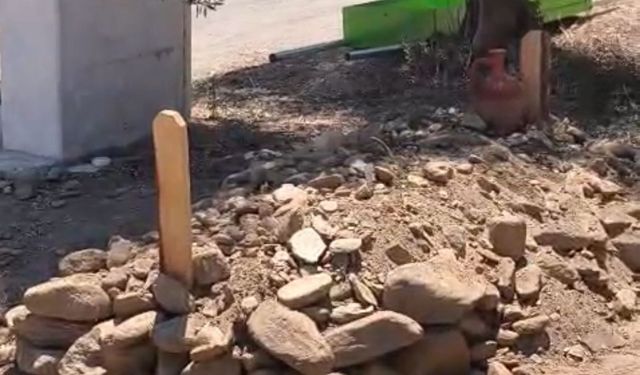İtfaiyecinin gizlenen mezarı bulundu: Yenipazar’a gizlice gömüldü