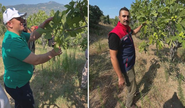 Köşk’te gençler çiftçilere hasatta destek oldu! Gönüllü hasat etkinliği renkli görüntülere sahne oldu