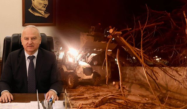 Çine’deki fırtına sebebiyle devrilen ağaç yolu kapattı