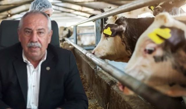 Çine’de karantinası devam eden mahalleler ne olacak?