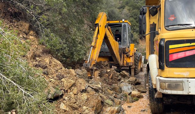 Karacasu'yu sel vurdu: Toprak kayması meydana geldi ağaçlar devrildi!
