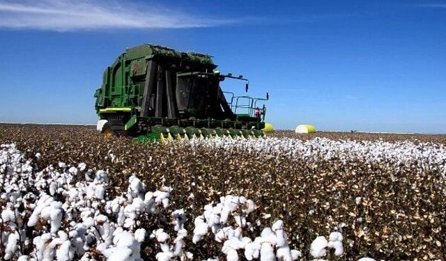 Eşiyok, Aydın’ın tarım faaliyetlerini değerlendirdi: “Çiftçi çalışırken batıyor”
