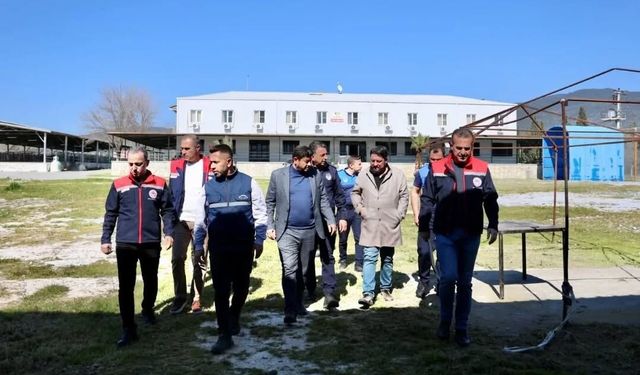 Çine Hayvan Pazarında açılış öncesi denetim gerçekleştirildi