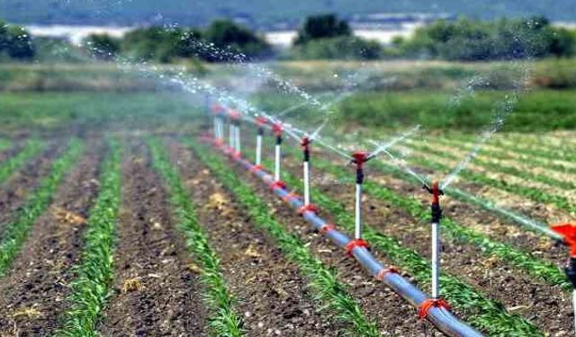 Aydın’daki o mahalleye sulama suyu verilmeyecek! Muhtar üreticileri uyardı