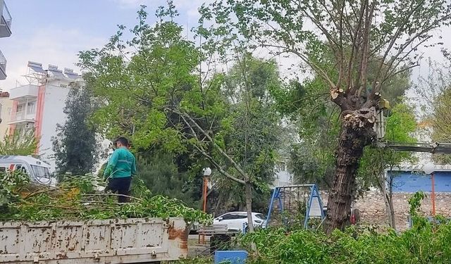 Efeler’in sokakları daha düzenli: Üç mahallede kapsamlı temizlik yapıldı