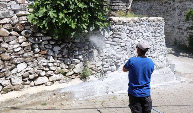 Bozdoğan’da haşere ile mücadele sürüyor! Mahalleler tek tek kireçleniyor