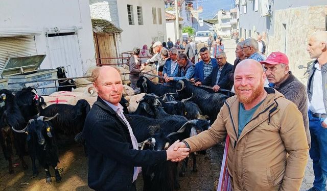 Bozdoğan’da kurban hareketliliği: Küçükbaş fiyatı belli oldu