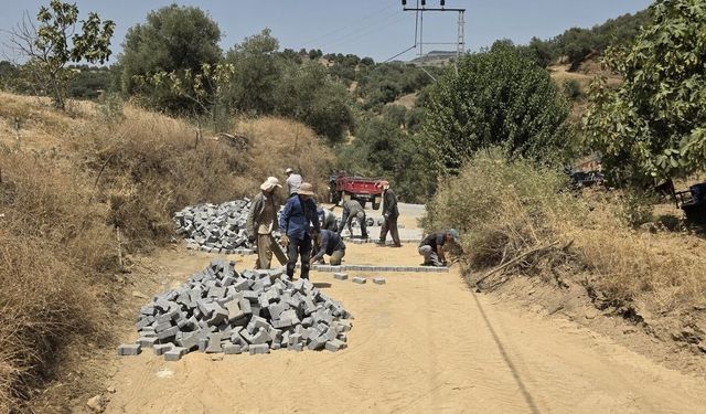 Bozköy Muhtarı Karazor'dan çağrı! Hem istinat duvarı hem de yol bekleniyor