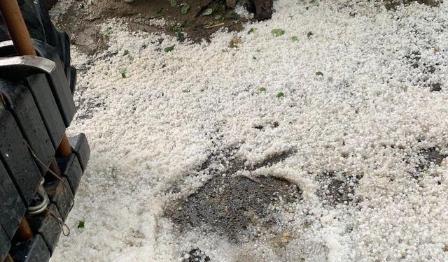Kuyucak’ı dolu vurdu! Tarım ürünleri zarar gördü