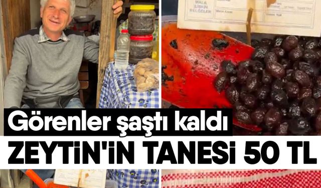 Aydın’ın komşusunda zeytinin fiyatı dudak uçuklattı