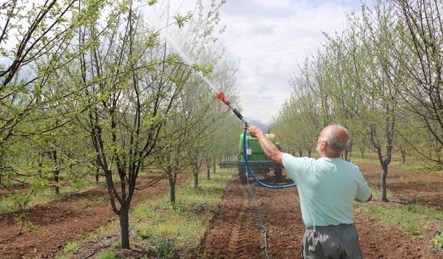 Aydın İl Tarım duyurdu: Yeni döneme sayılı gün kaldı