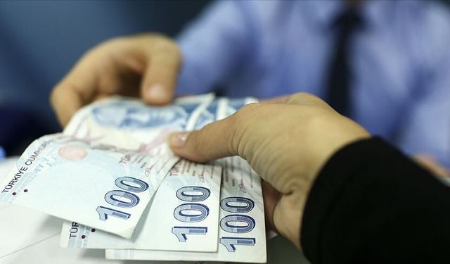 Aydınlılar dikkat: Bu bitkiyi kopartan görülmemiş ceza ödeyecek!