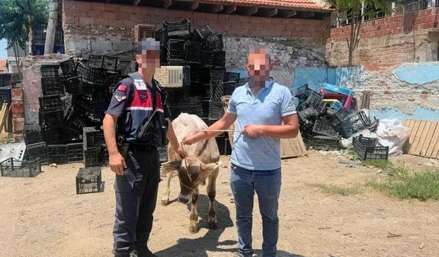 Asayiş